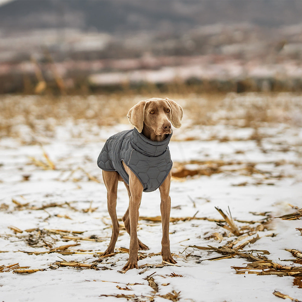 Dog Outdoor Vest Jacket