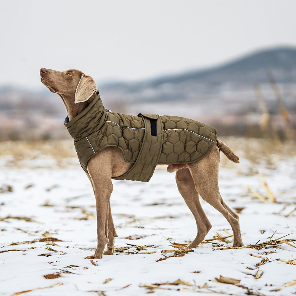 Dog Outdoor Vest Jacket