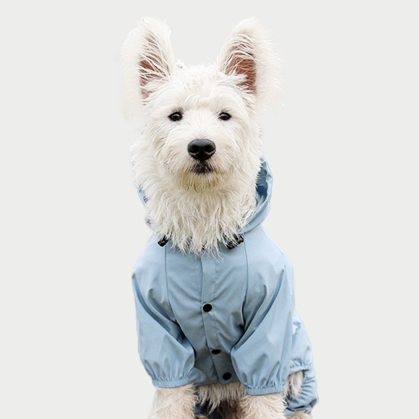 4-Leg | Reflective Dog Raincoat