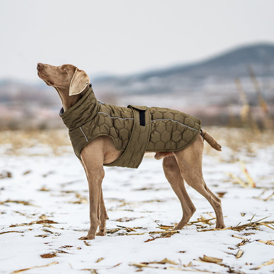 Outdoor-Weste für Hunde