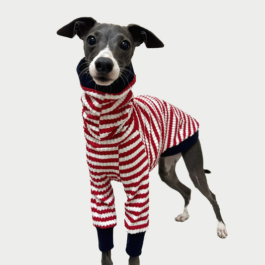 2-Leg | Red-White Striped Cotton Dog Pullover