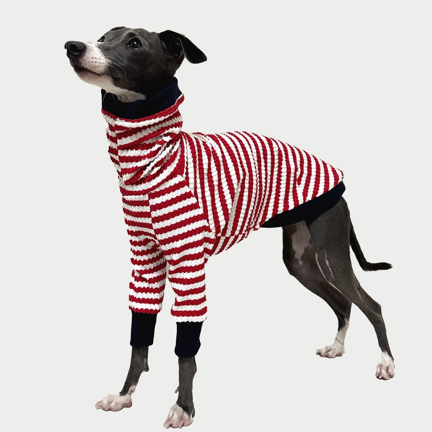 2-Leg | Red-White Striped Cotton Dog Pullover