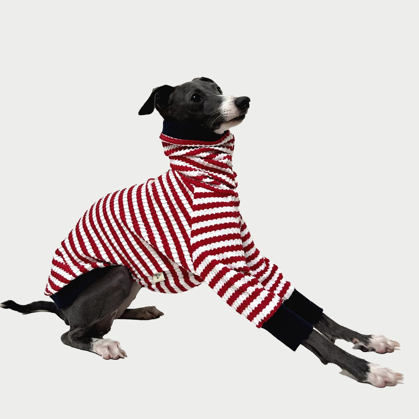 2-Leg | Red-White Striped Cotton Dog Pullover