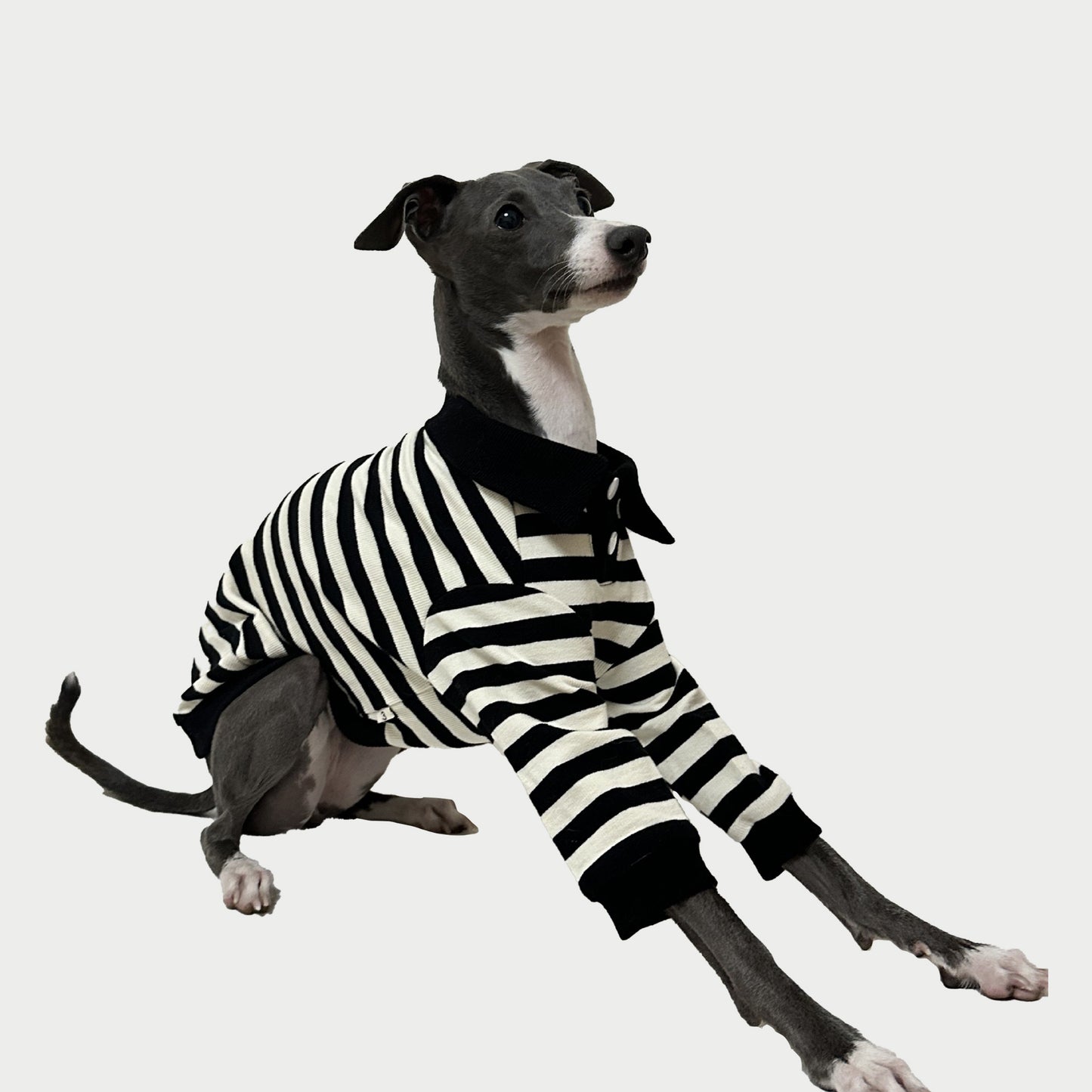 2-Leg | Striped Cotton Dog Polo Shirt