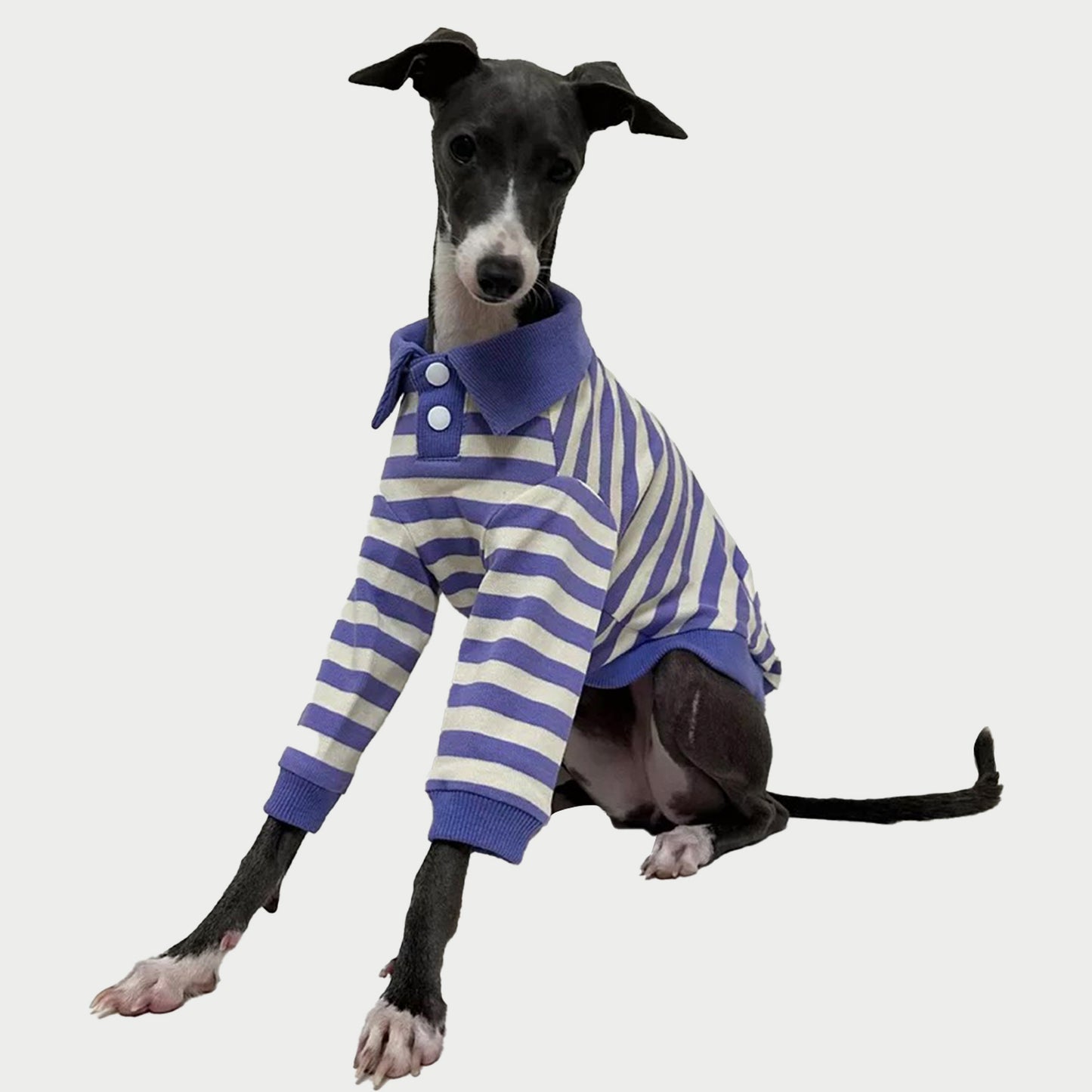 2-Leg | Striped Cotton Dog Polo Shirt