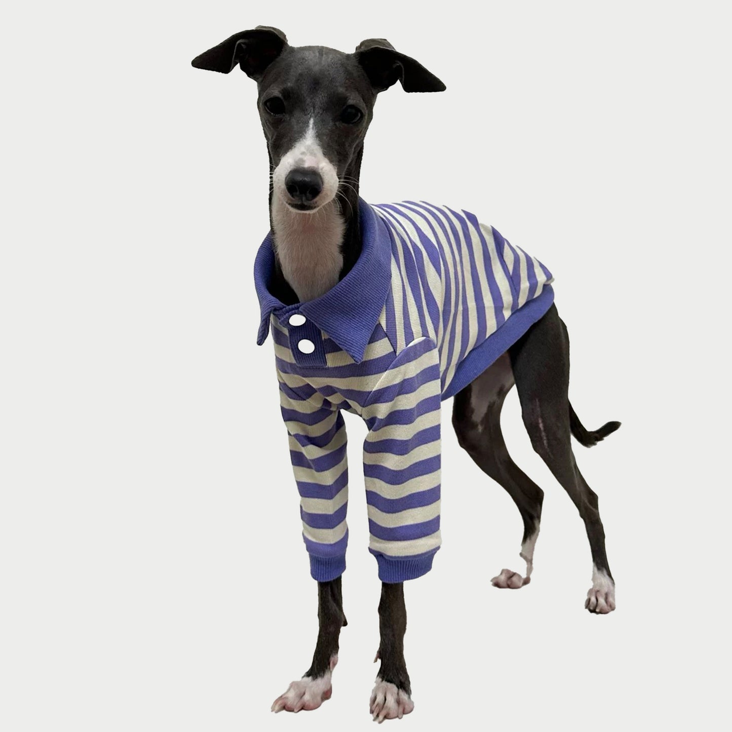 2-Leg | Striped Cotton Dog Polo Shirt