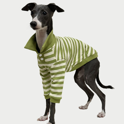 2-Leg | Striped Cotton Dog Polo Shirt